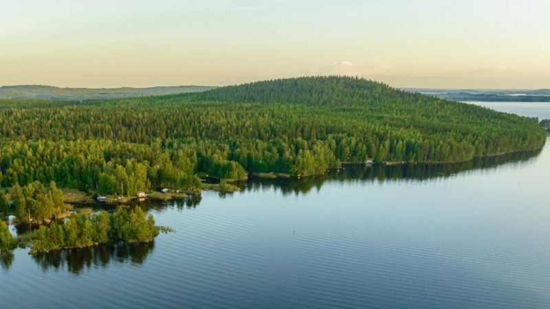 Sysmän kunnanhallitus julistaa haettavaksi kunnanjohtajan viran