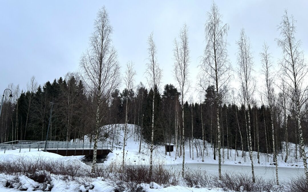 Metsänraivaustöitä Ohrasaaressa 7.1.2025 alkaen