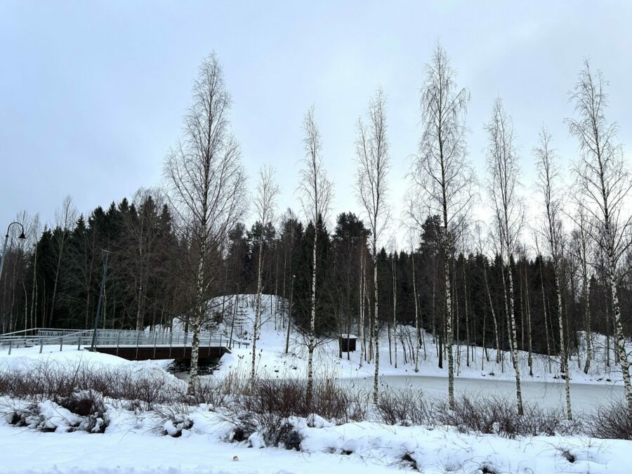 Metsänraivaustöitä Ohrasaaressa 7.1.2025 alkaen